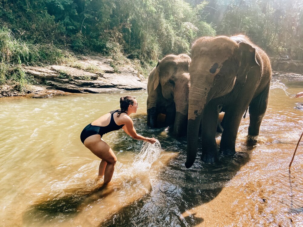 Bucket List Elephant Sanctuary Adventure in Thailand