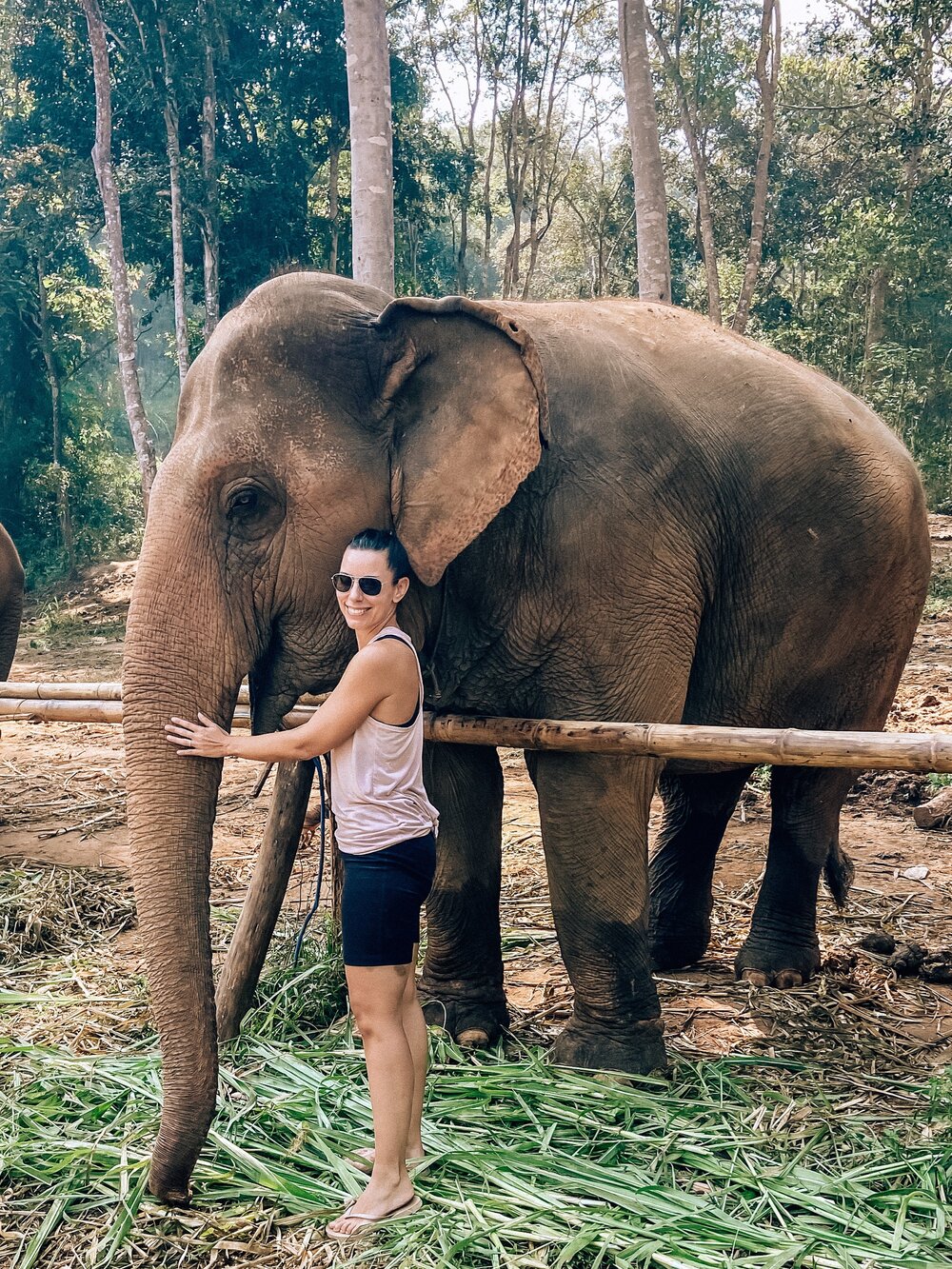 Feeding elephants at Chai Lai resort in Chiang Mai Thailand