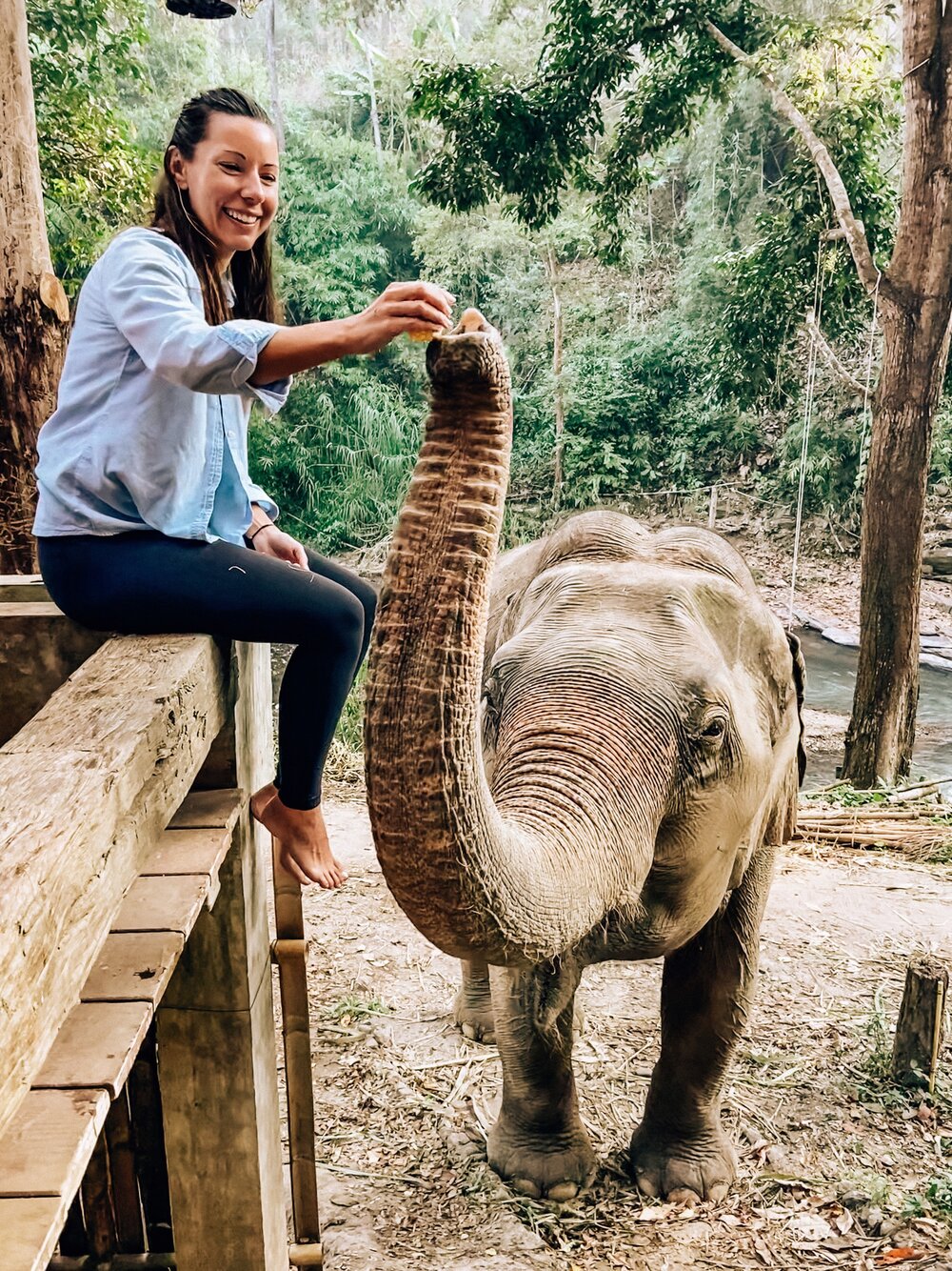 Feeding elephants best Instagram photos Thailand