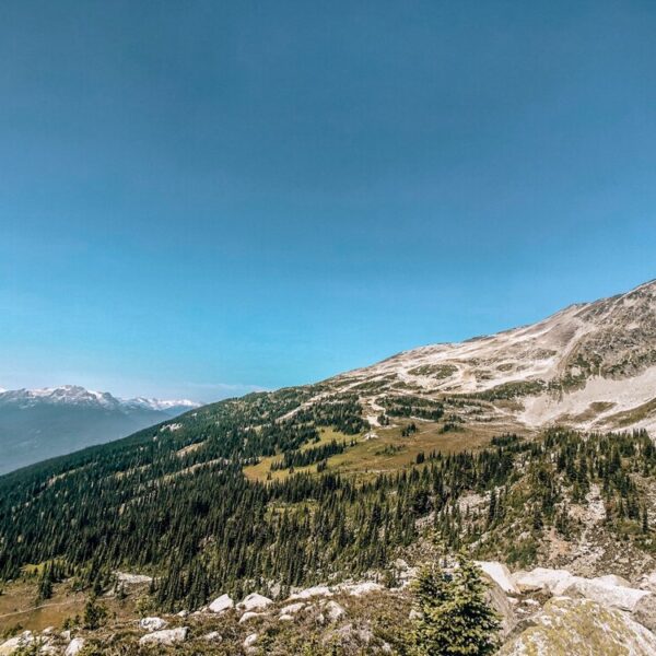 Alpine meadow views on Overlord Trail Blackcomb Mountain