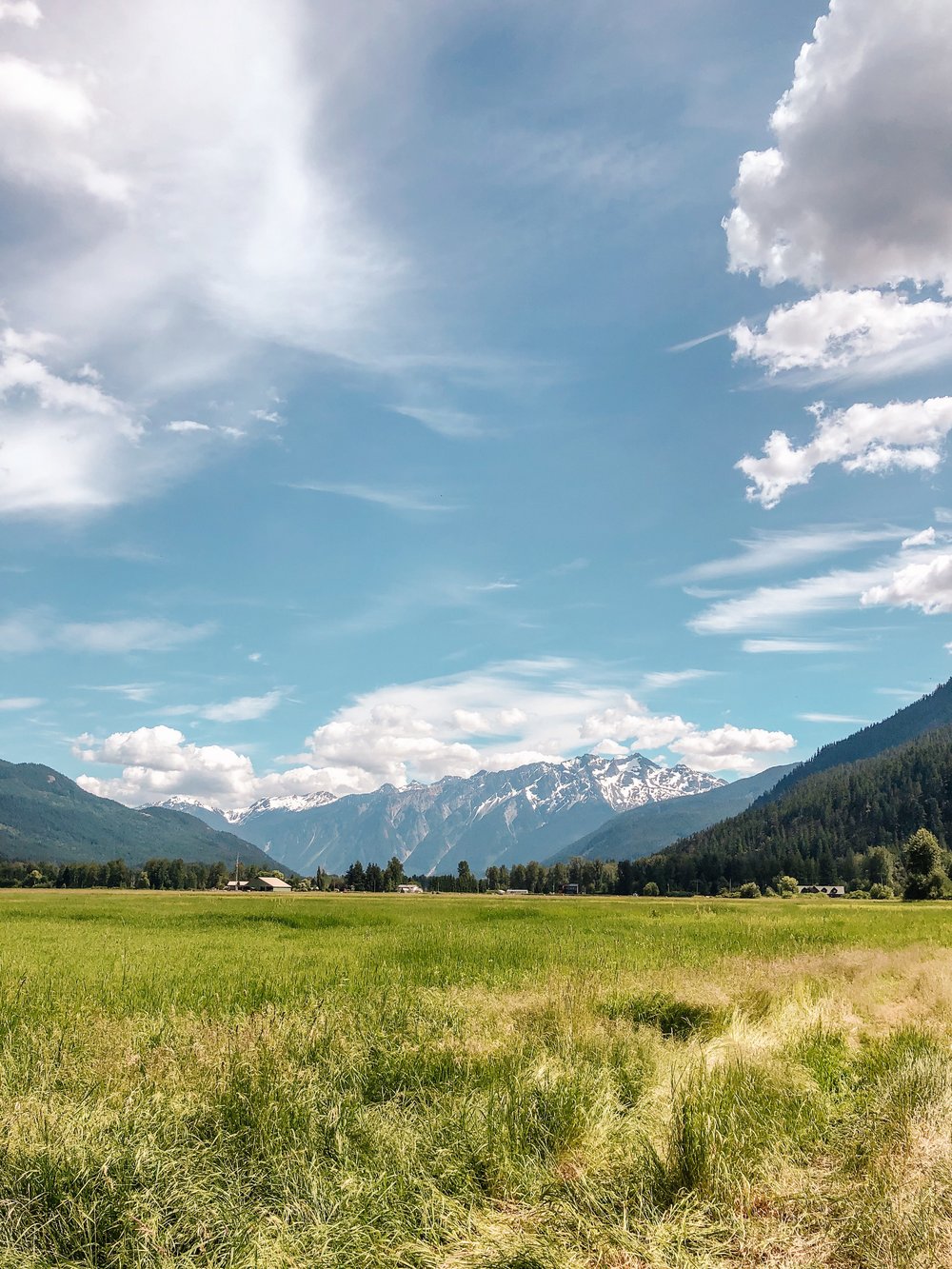 Beer Farmers Pemberton Meadows Road