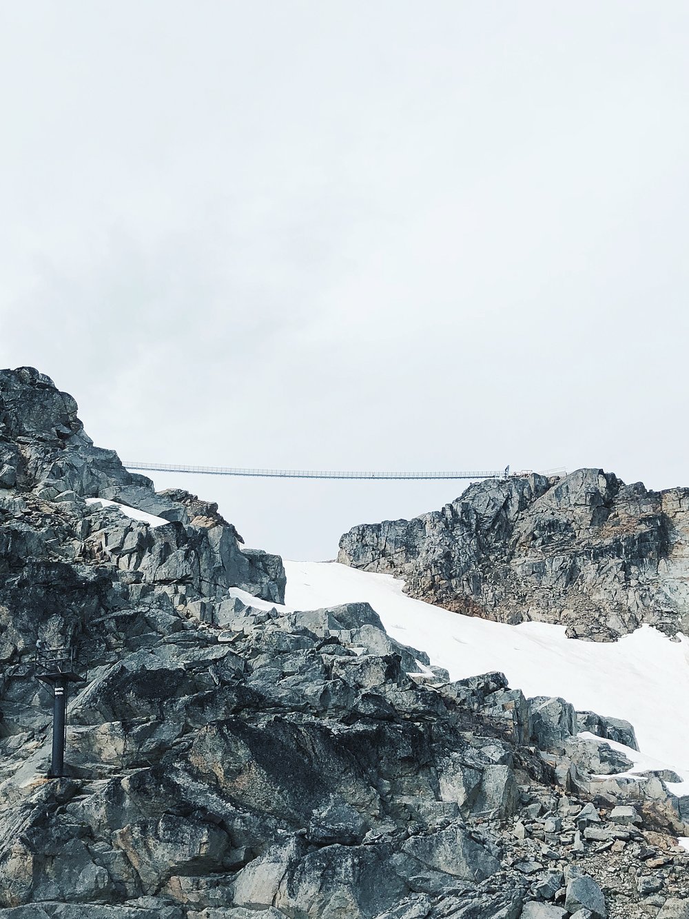 Whistler Peak Suspension Bridge