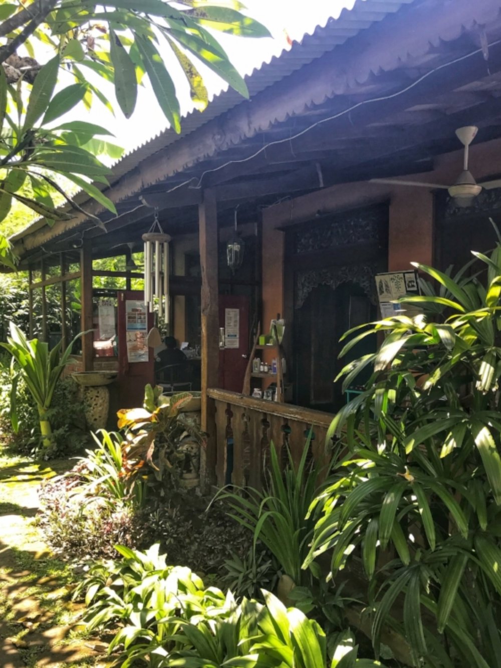 Bali Healing Centre Theta Healing Traditional Chinese Medicine Holistic