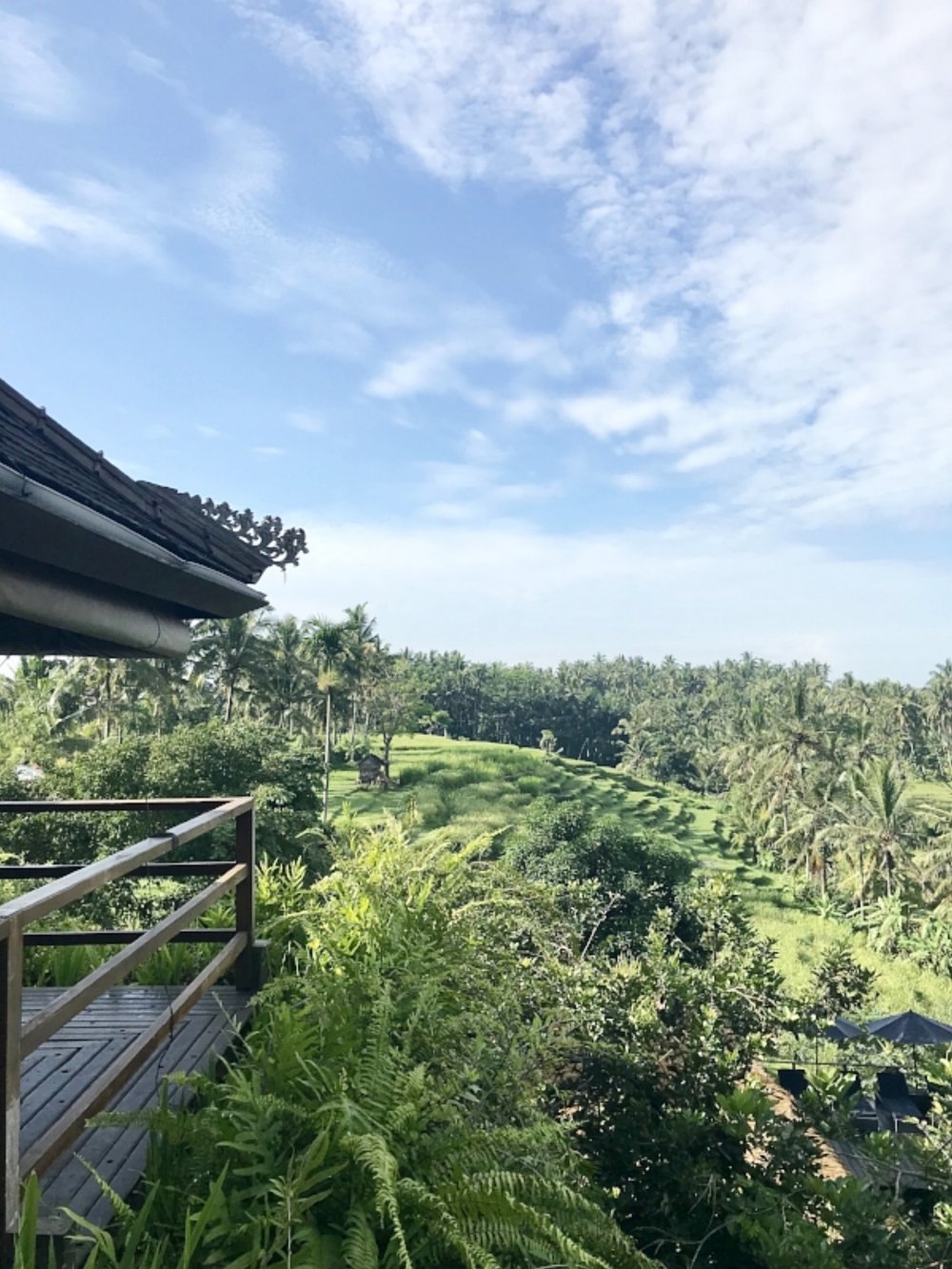Views from Soulshine Hotel and Yoga Retreat Bali