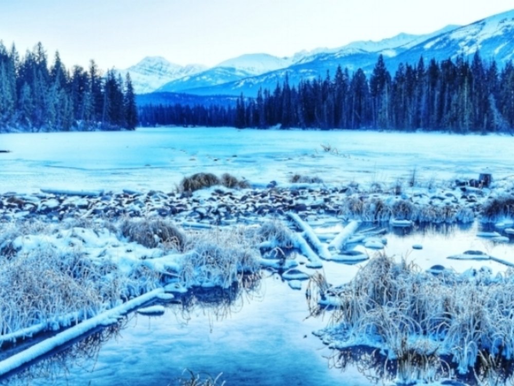 Frozen Lac Beauvert in Jasper National Park