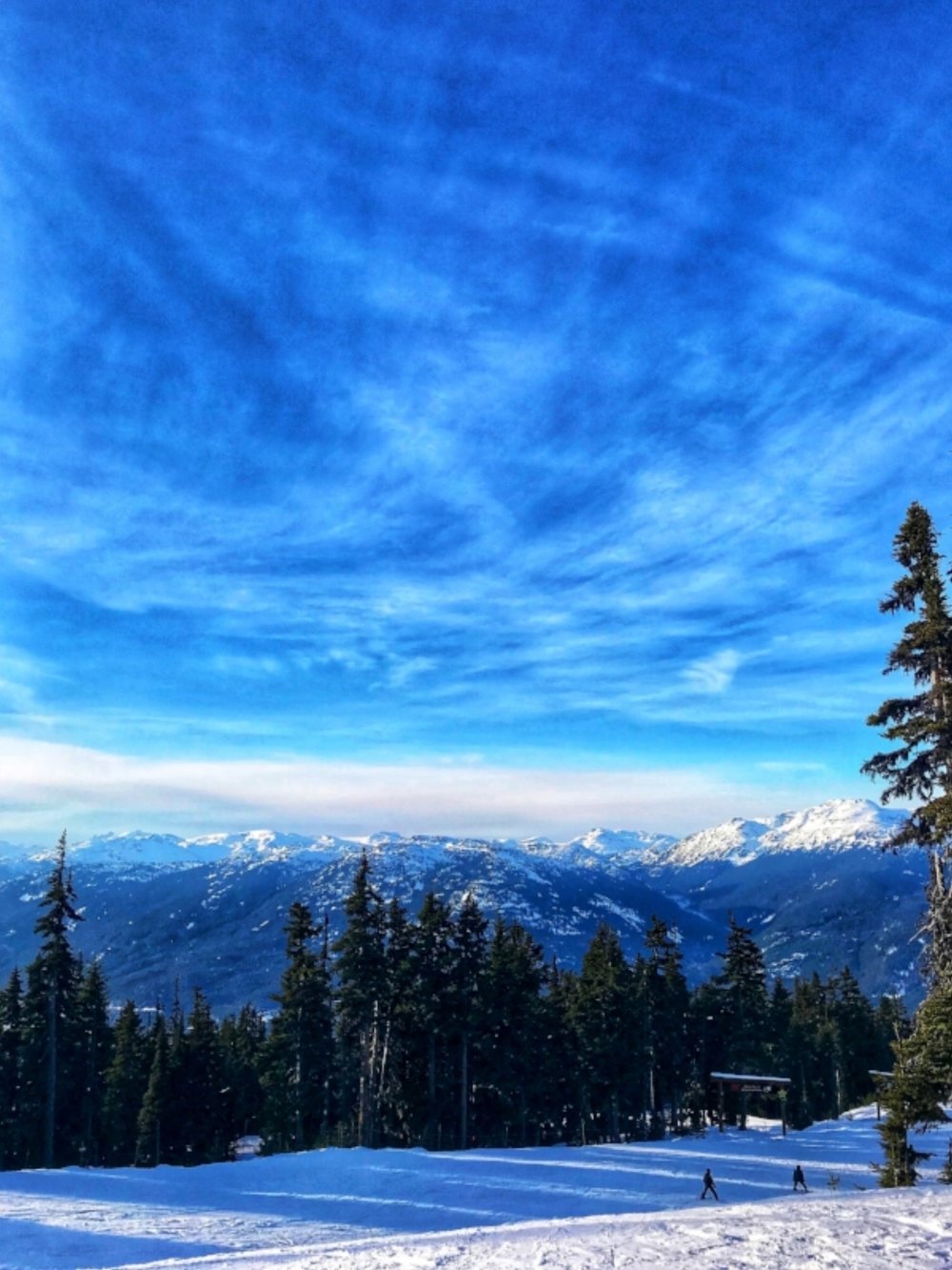 Free tours of Whistler Blackcomb Mountain