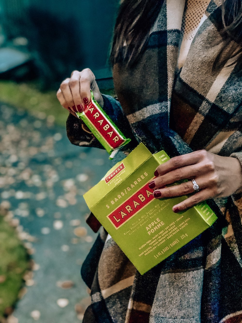 Healthy snack bars Whole30 larabar