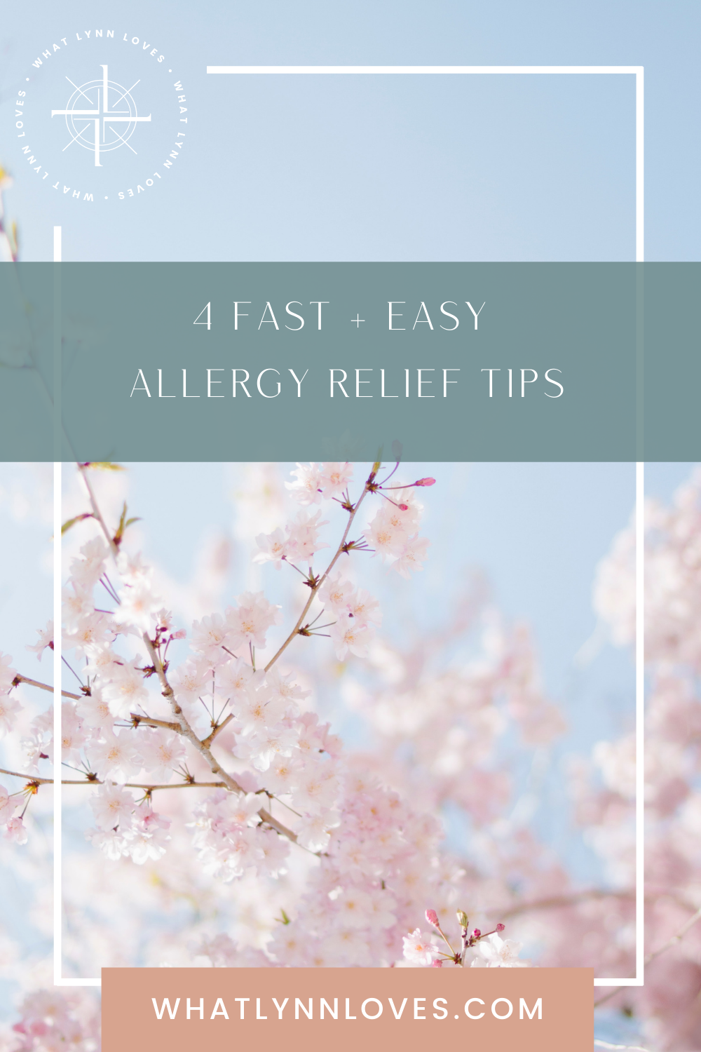 4 Allergy Relief Tips You Need to Try What Lynn Loves